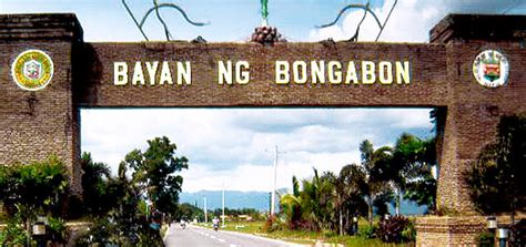 bongabon nueva ecija zip code.